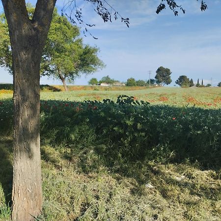 Casa Rural El Realengo Las Casas  Екстер'єр фото